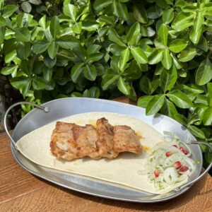 Шашлык из курицы